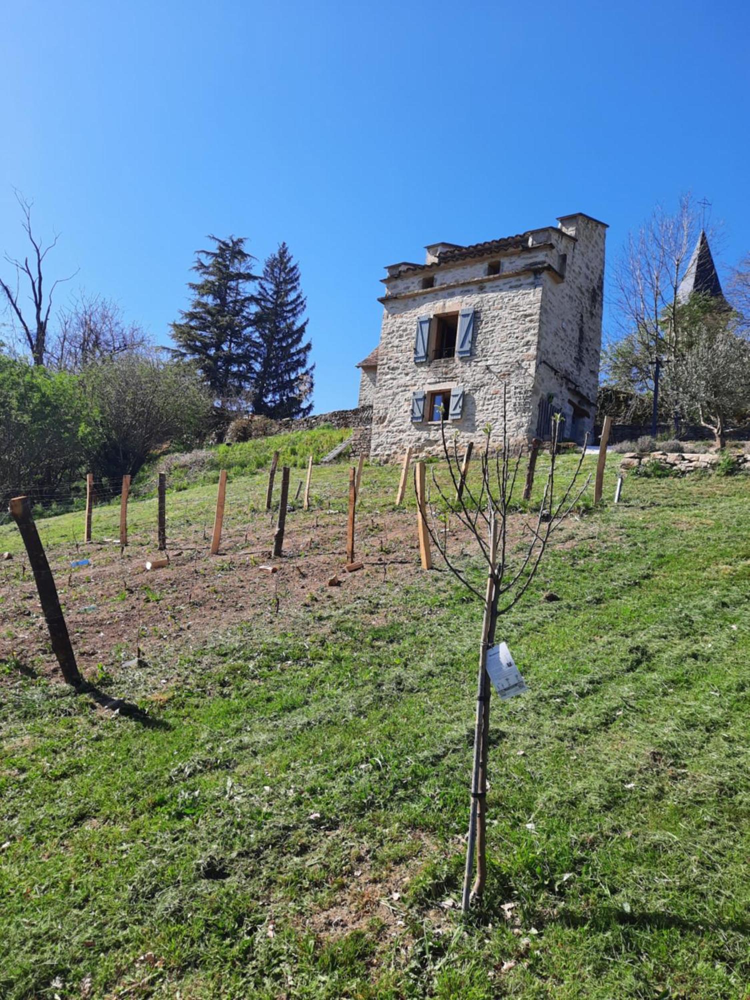 Villa Le Pigeonnier De Felines Caylus Habitación foto